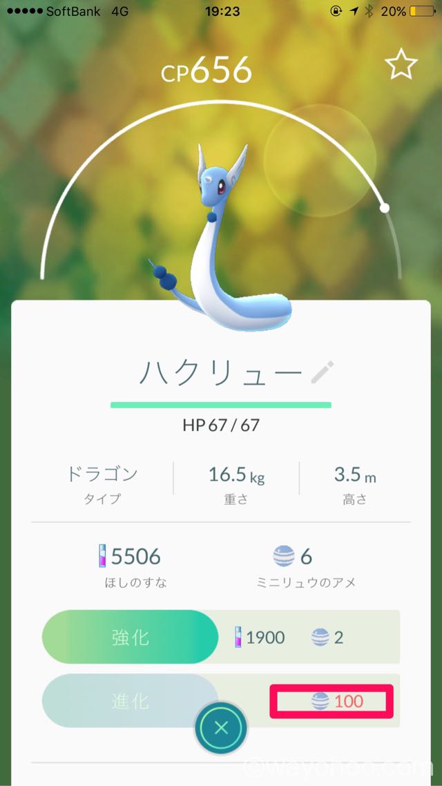 ミニリュウをハクリューに進化できました。カイリュウは遠い。。