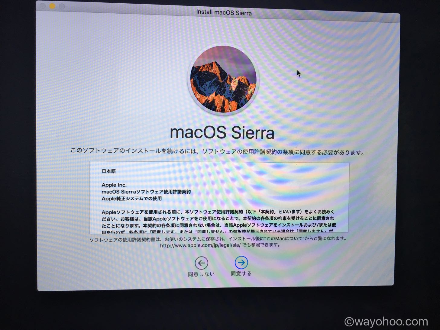 同意するをクリック。