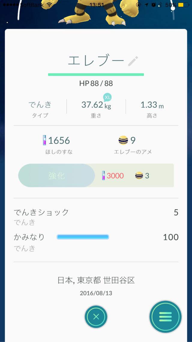 エレブーを捕まえた場所