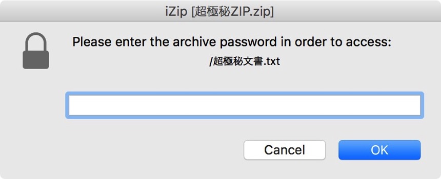 iZipにパスワードを入力