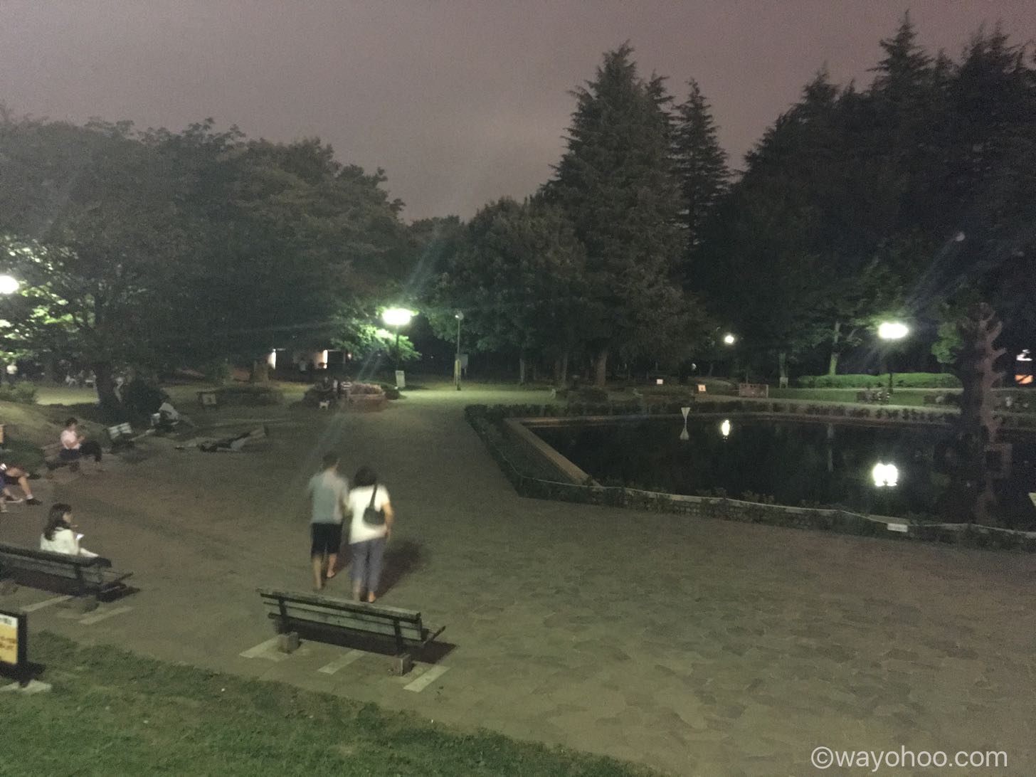 世田谷公園 イーブイの巣
