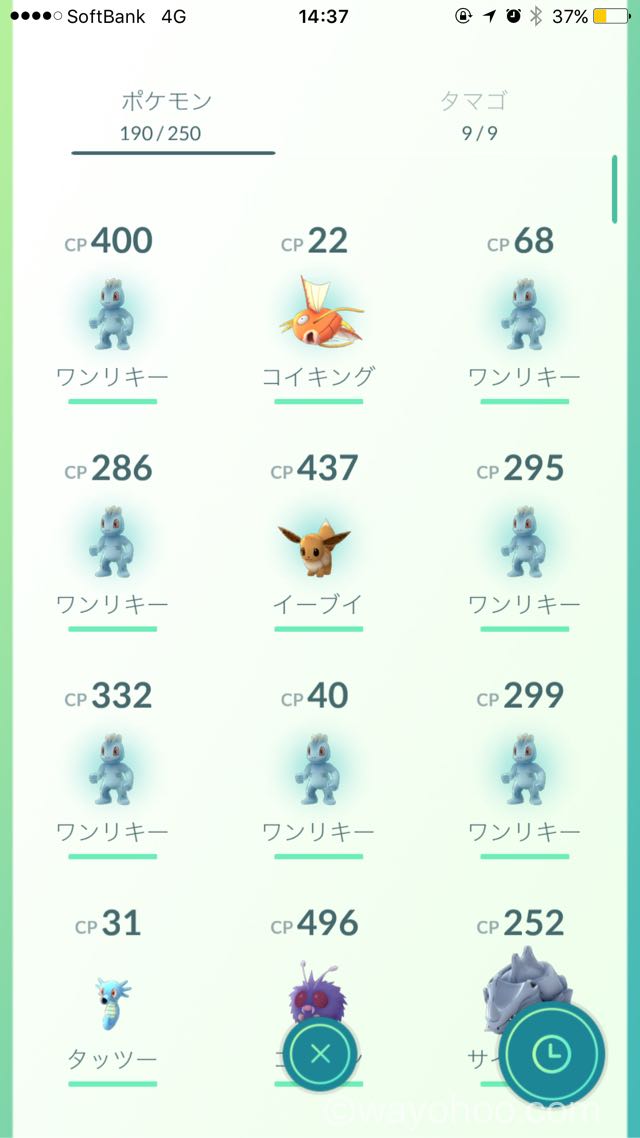 日本橋浜町公園でゲットしたワンリキー達