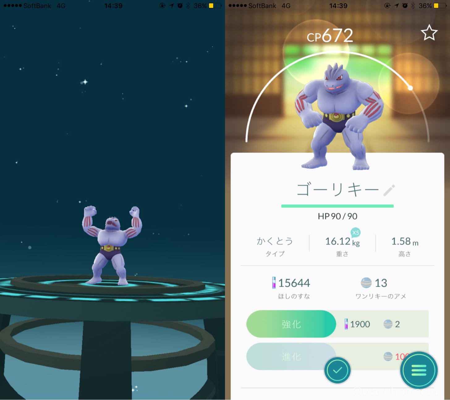 ワンリキーをゴーリキーに進化できました！