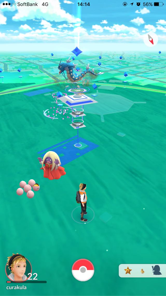 駒沢オリンピック公園のルージュラ