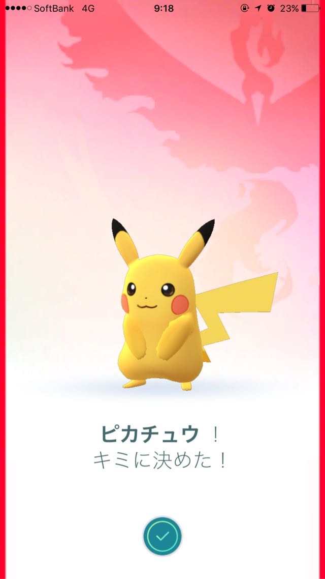 ピカチュウ君に決めた！